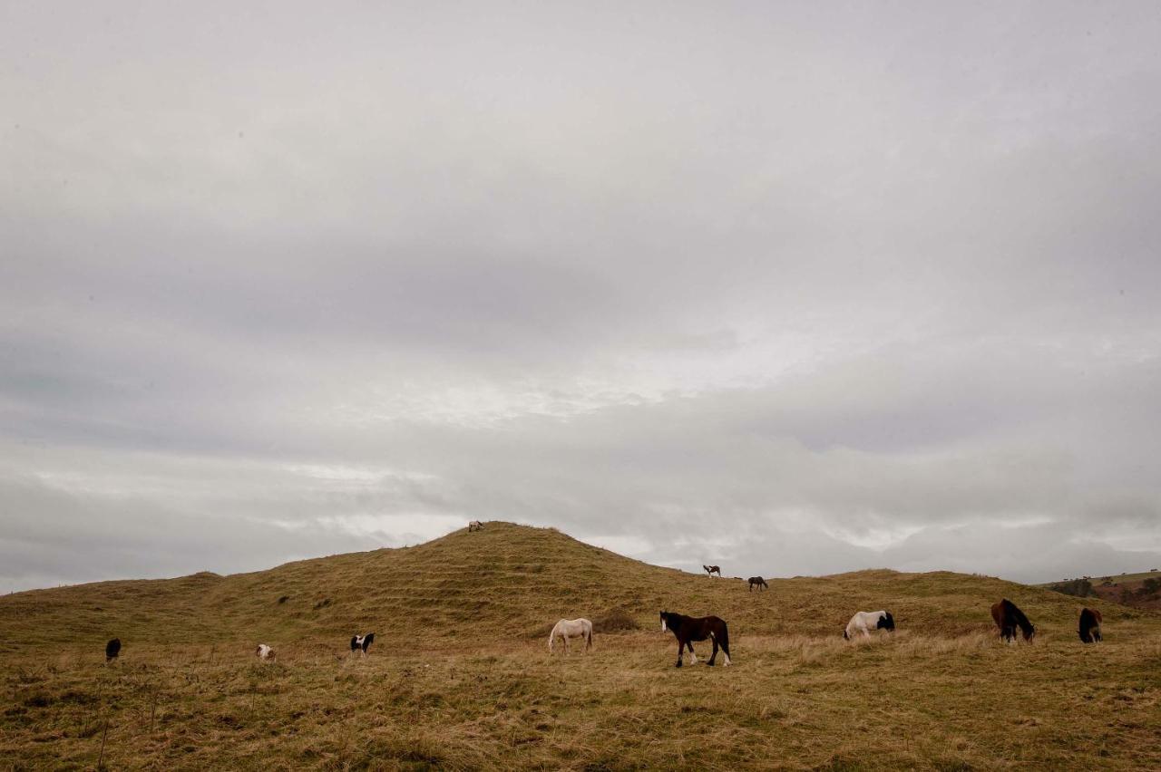 The Wild Atlantic Hideaway Appartement Clonakilty Buitenkant foto
